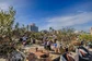 MantaBeach_Terras_deBuikDenHaag.jpeg