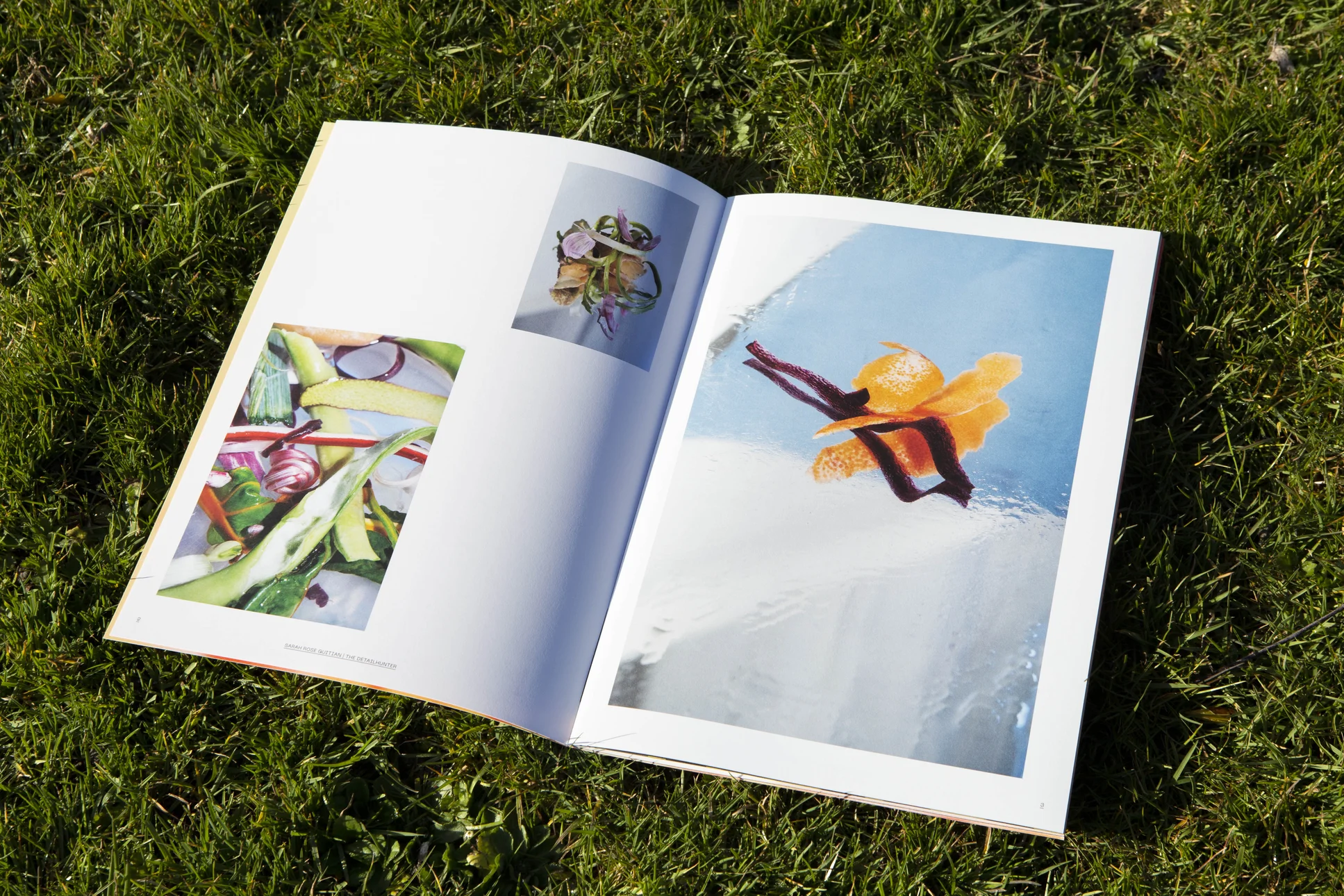 Enough Magazine: een fermenterende tempeh bloem uit de 3D-printer en Per's pomecello