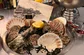 oesters-debuikvanrotterdam-marketbar mare.jpeg