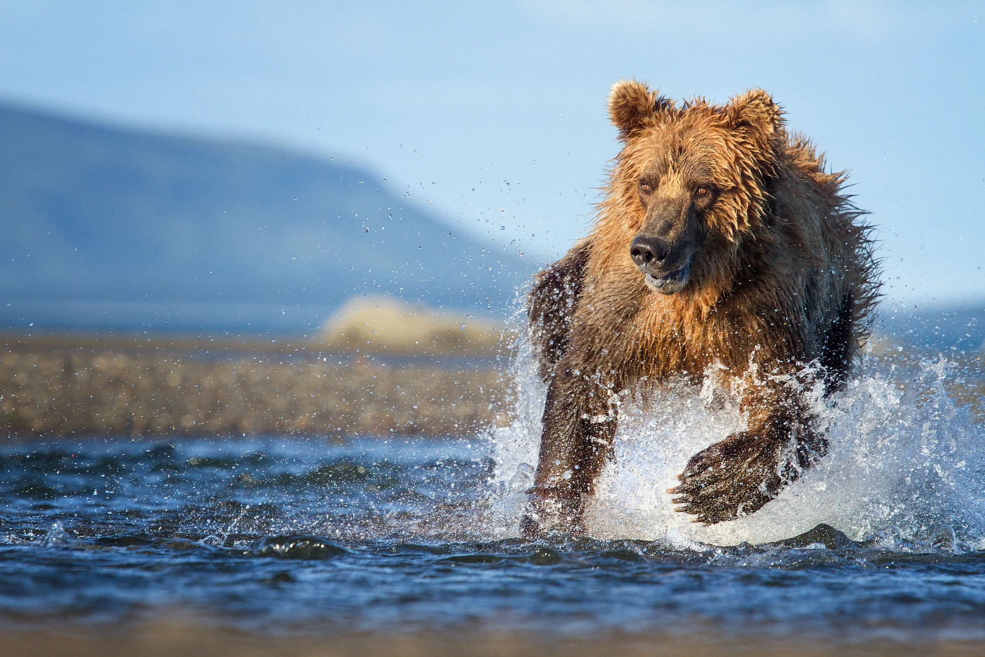 Filmfans opgelet: Wildlife Film Festival Rotterdam staat voor de deur