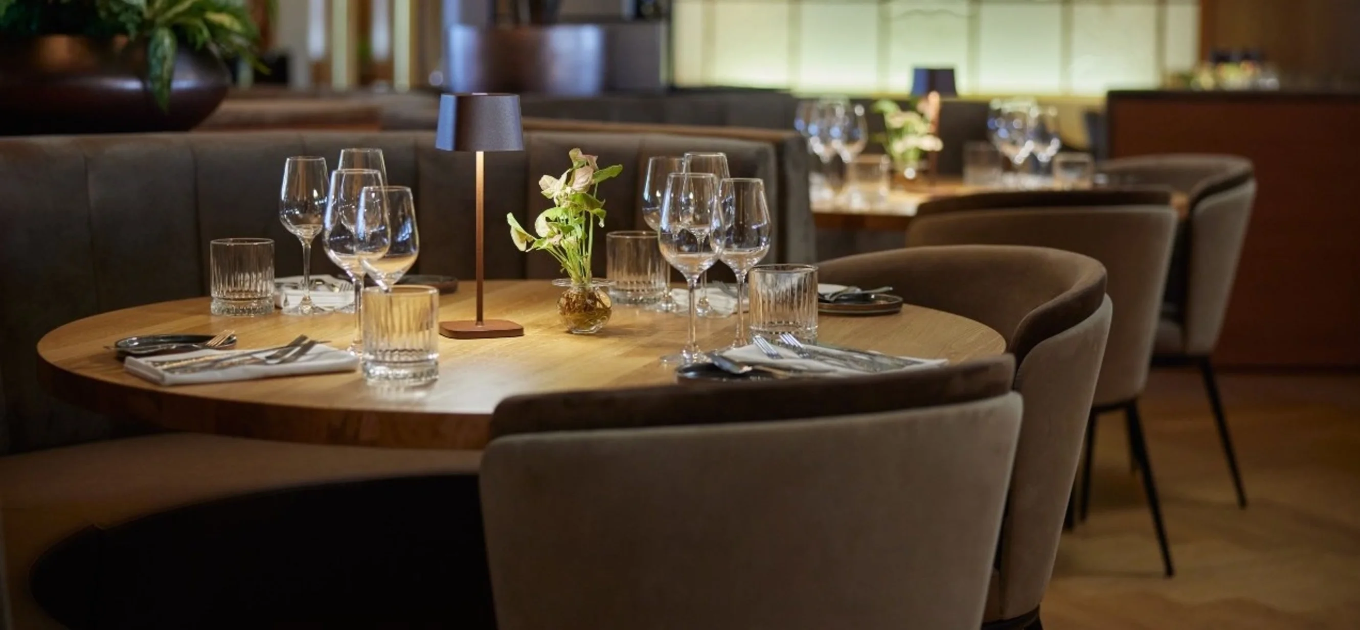 Club Room by ss Rotterdam