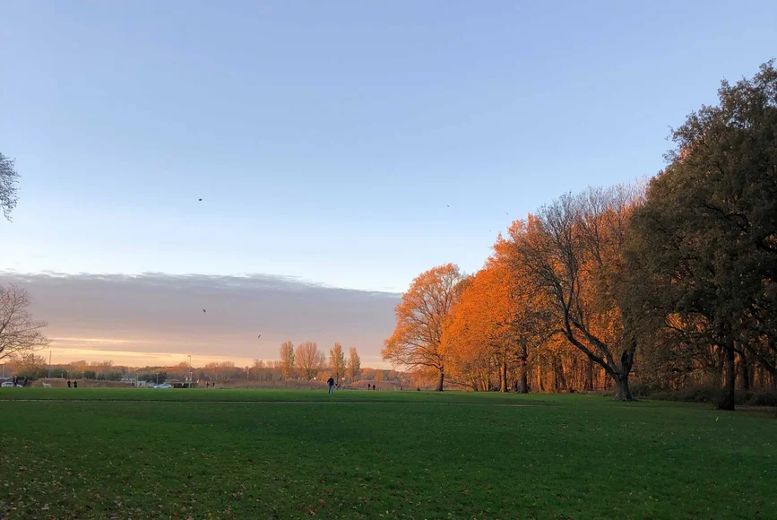 Koek en zopie to go tijdens het wandelen in het Kralingse Bos