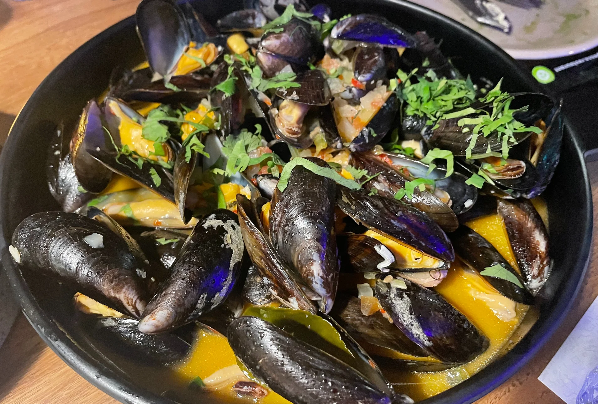 Pesca Rotterdam