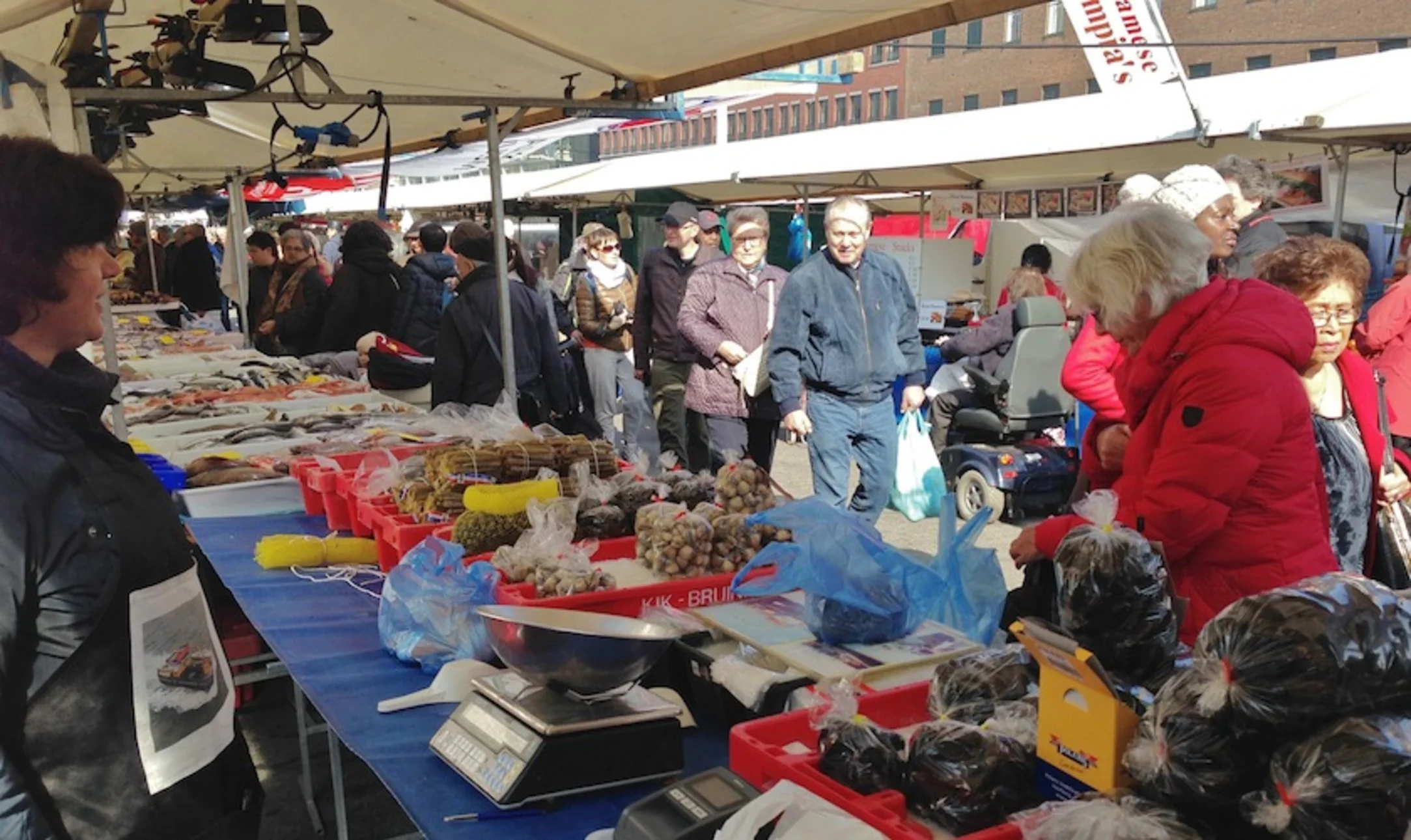 Familie Kik bracht de mossel naar de Rotterdamse markt