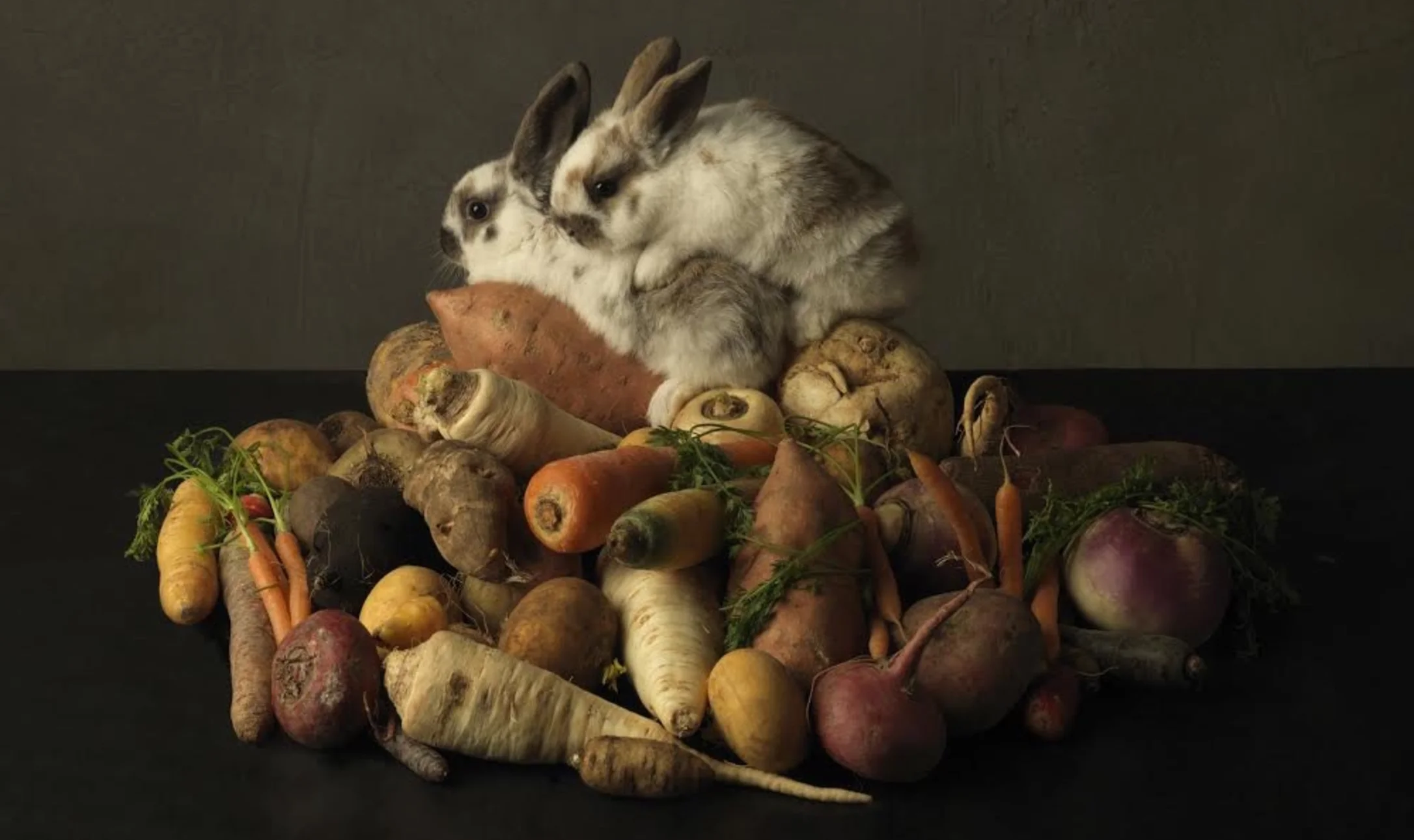 Konijnen bouwen torens en Marie Cecile fotografeert