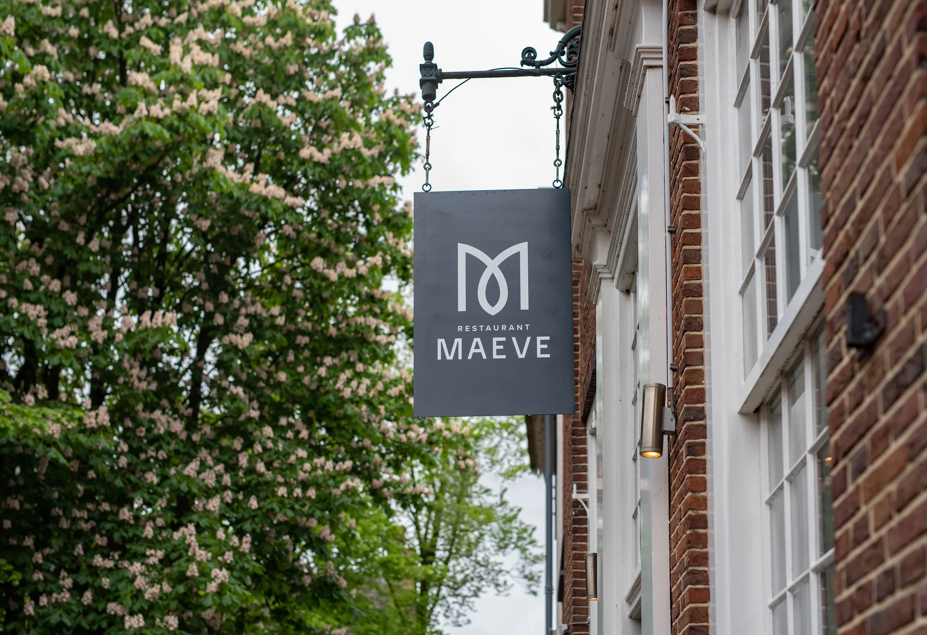 Maeve