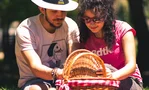 De Grote Picknick op Zuid wil je niet missen!