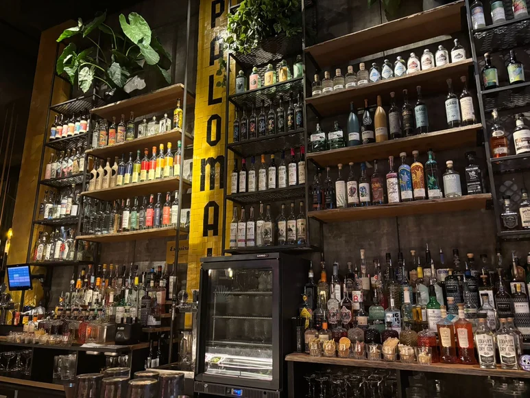 Van taco’s tot paloma’s: Botanero brengt kleur in de stad
