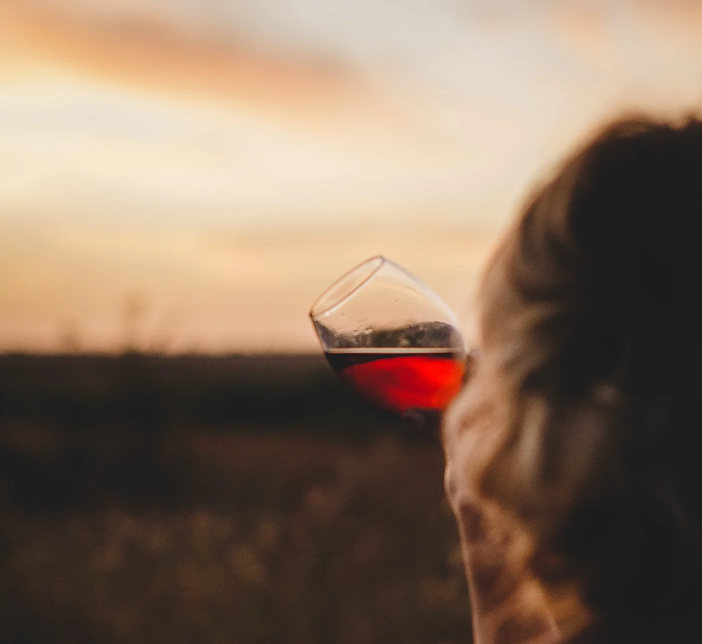Beaujolais ofwel Bojo is weer terug (ook in Rotterdam)