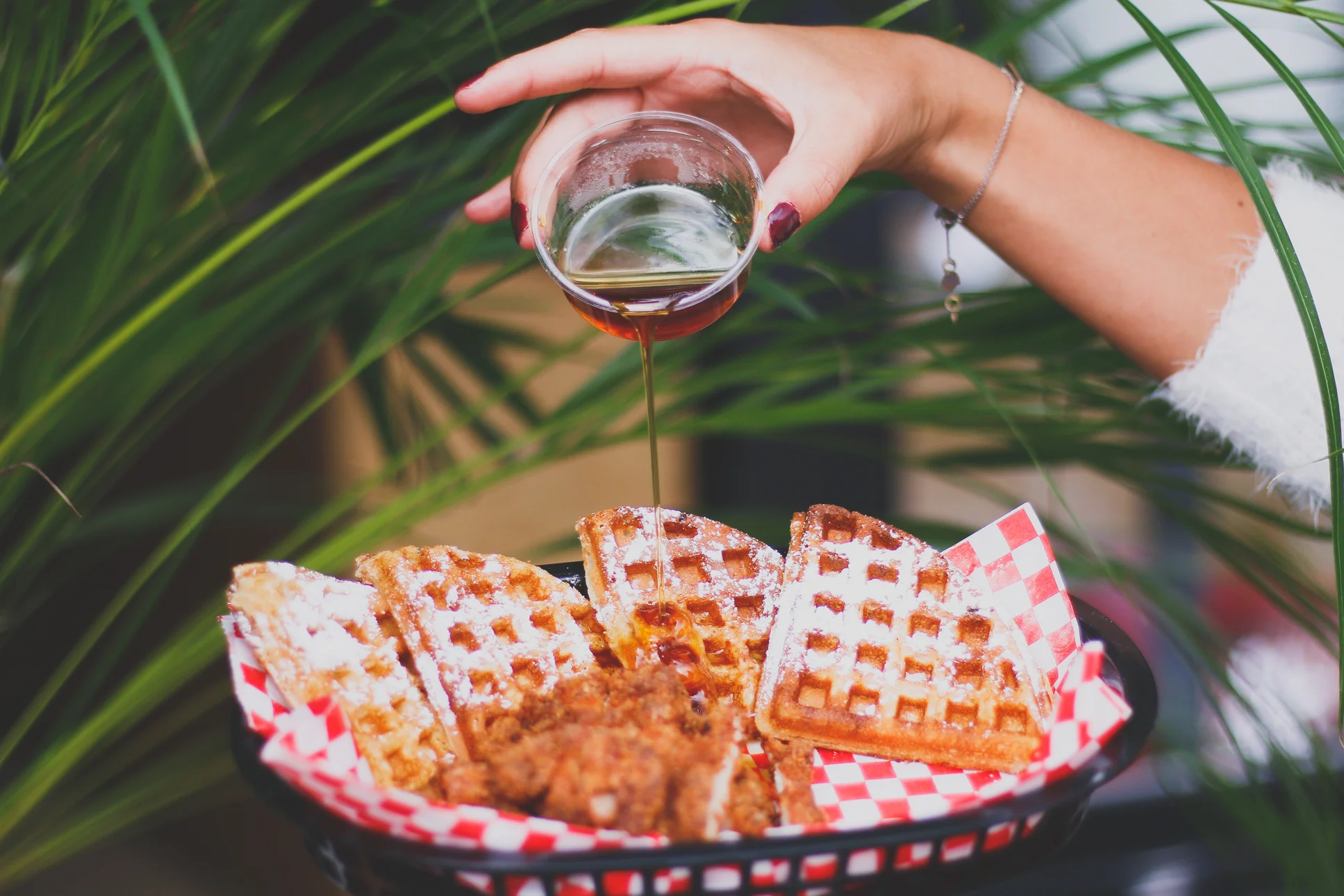 Freddy's Comfort Food