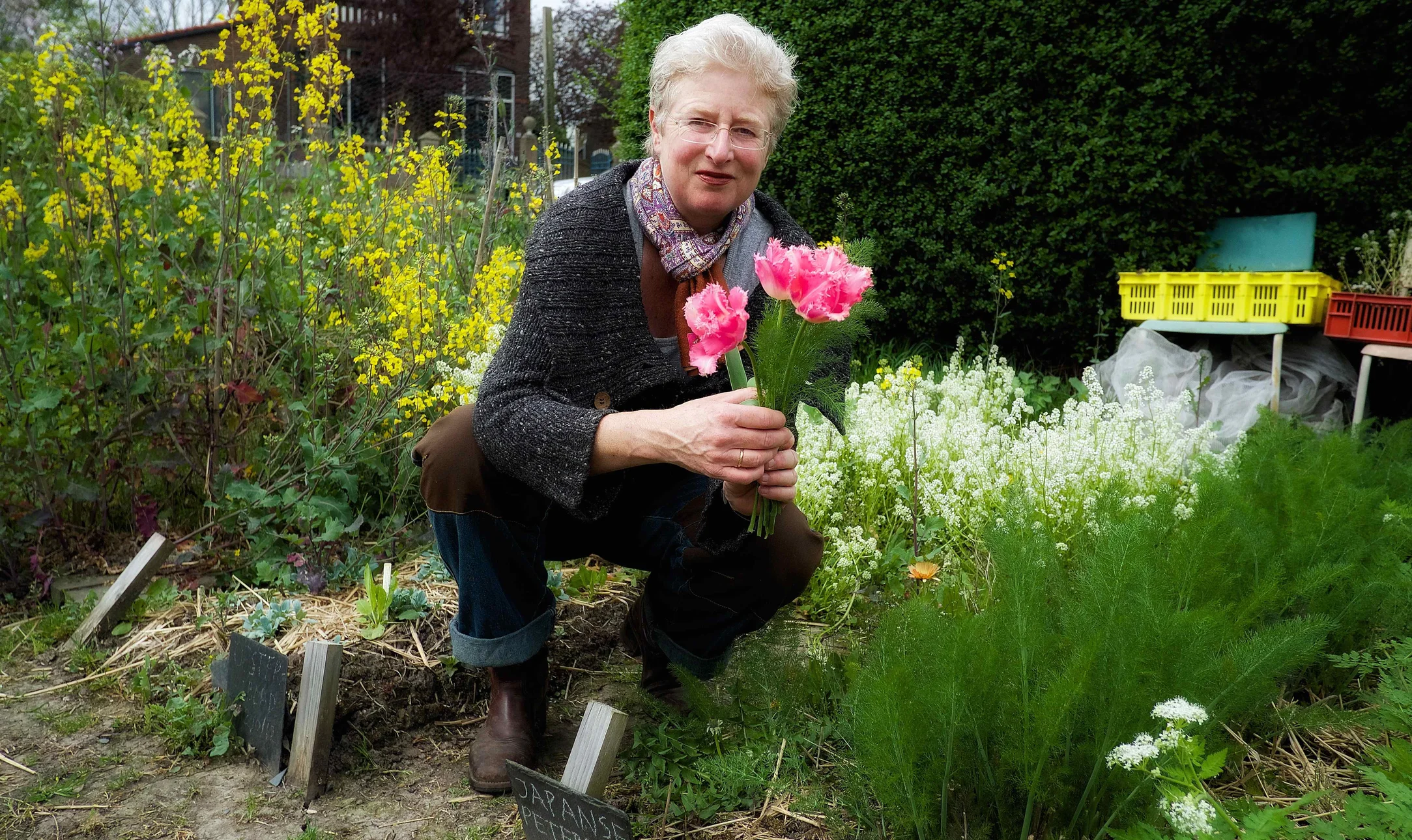 Hoezo in een vaas als je een tulp ook kunt eten?