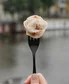 82874254_3070505733173886_8842569112426119168_n.jpg