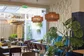 Blue Parrot lunchroom - De Buik Den Haag-7.jpg