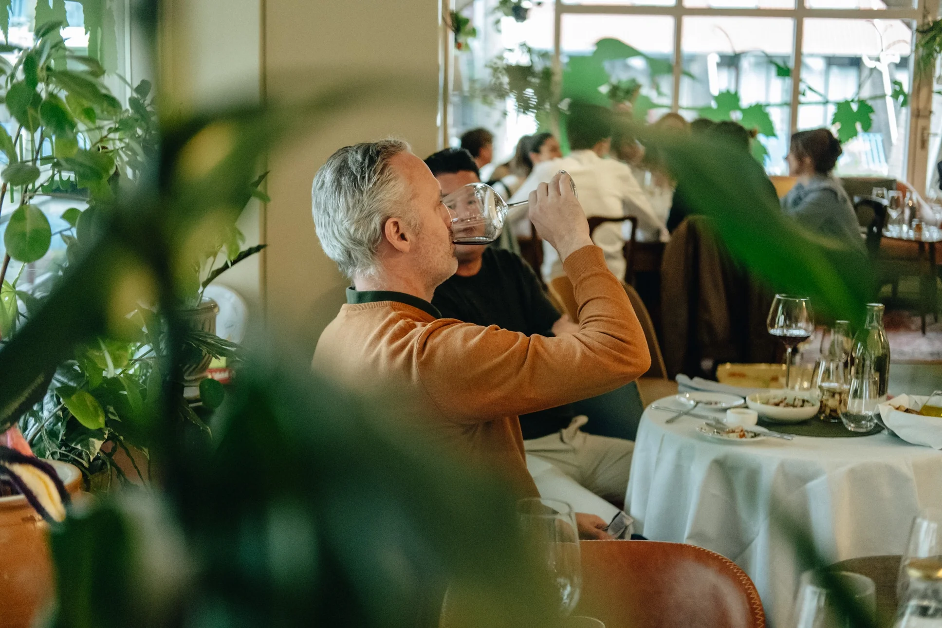 Wijnlokaal LenselinQ