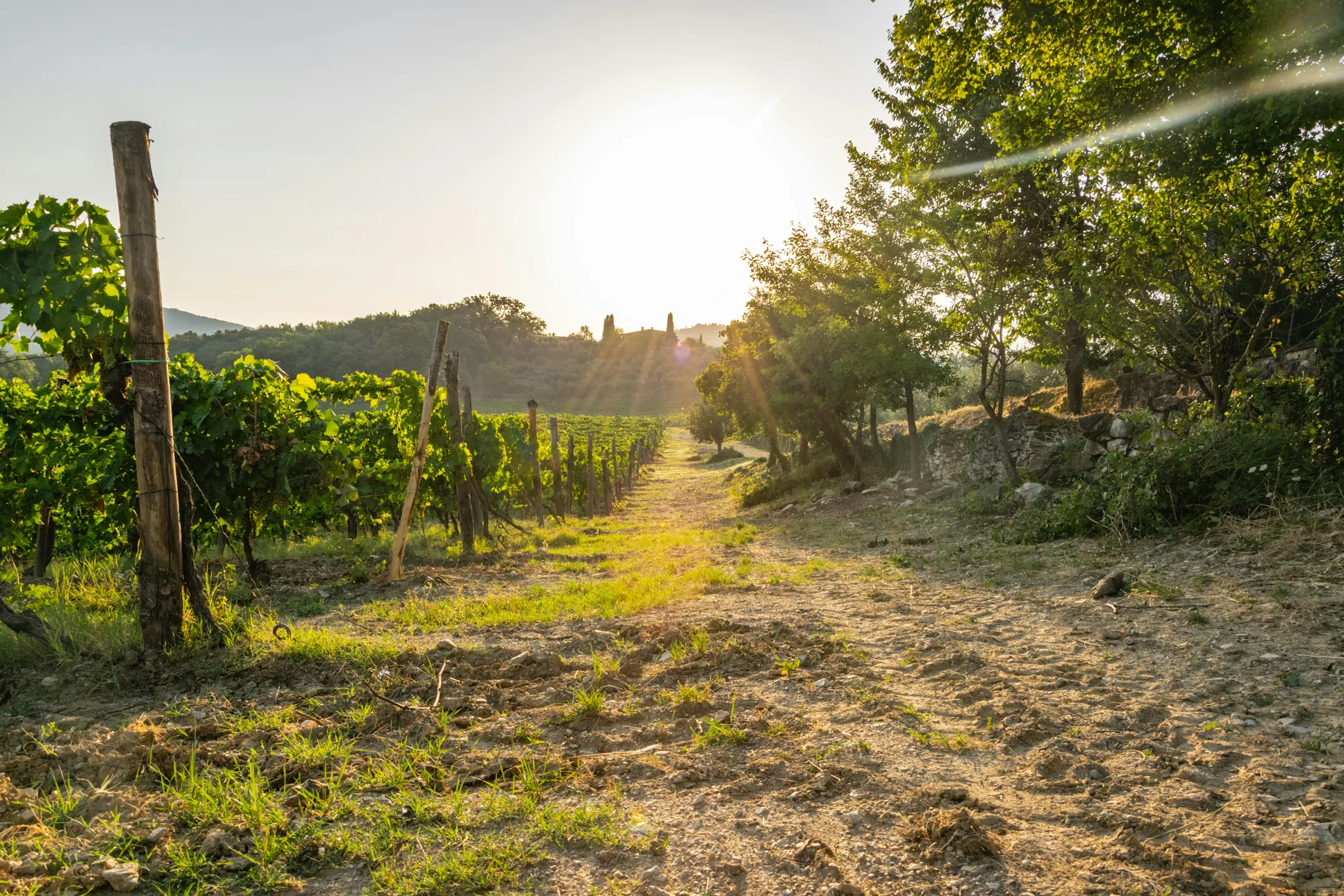 5x lekker eten in de Chianti streek