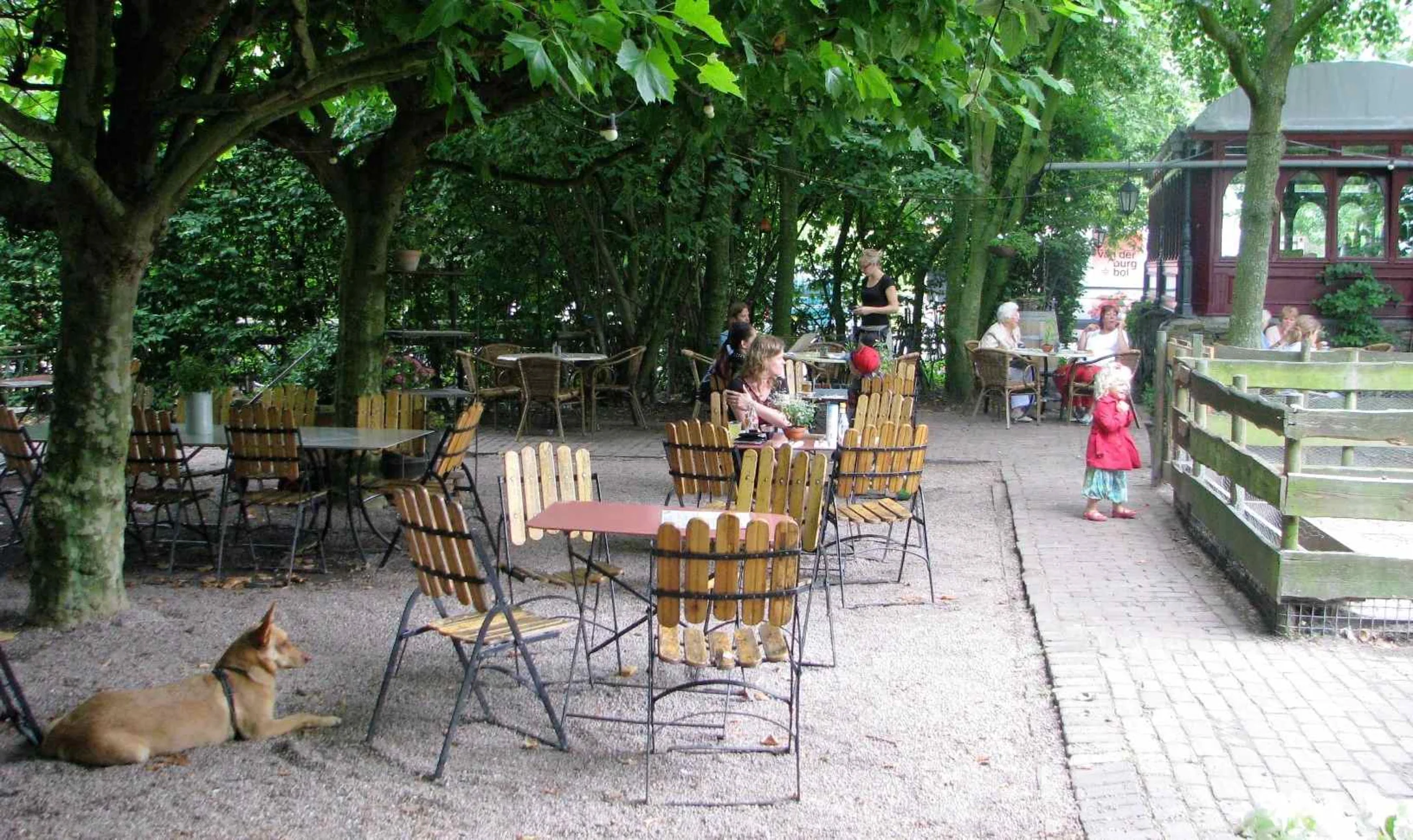 Eten tussen de kippen in de polder in Café du Midi
