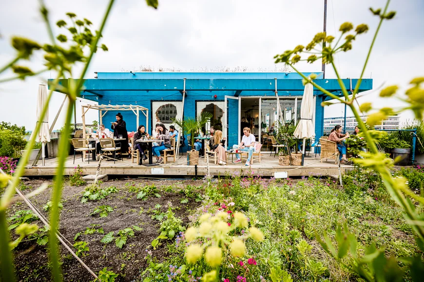 Onze 8 favoriete Rotterdamse dakterrassen en rooftops