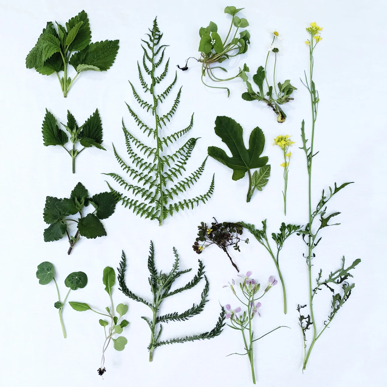 Fundamental.restaurant