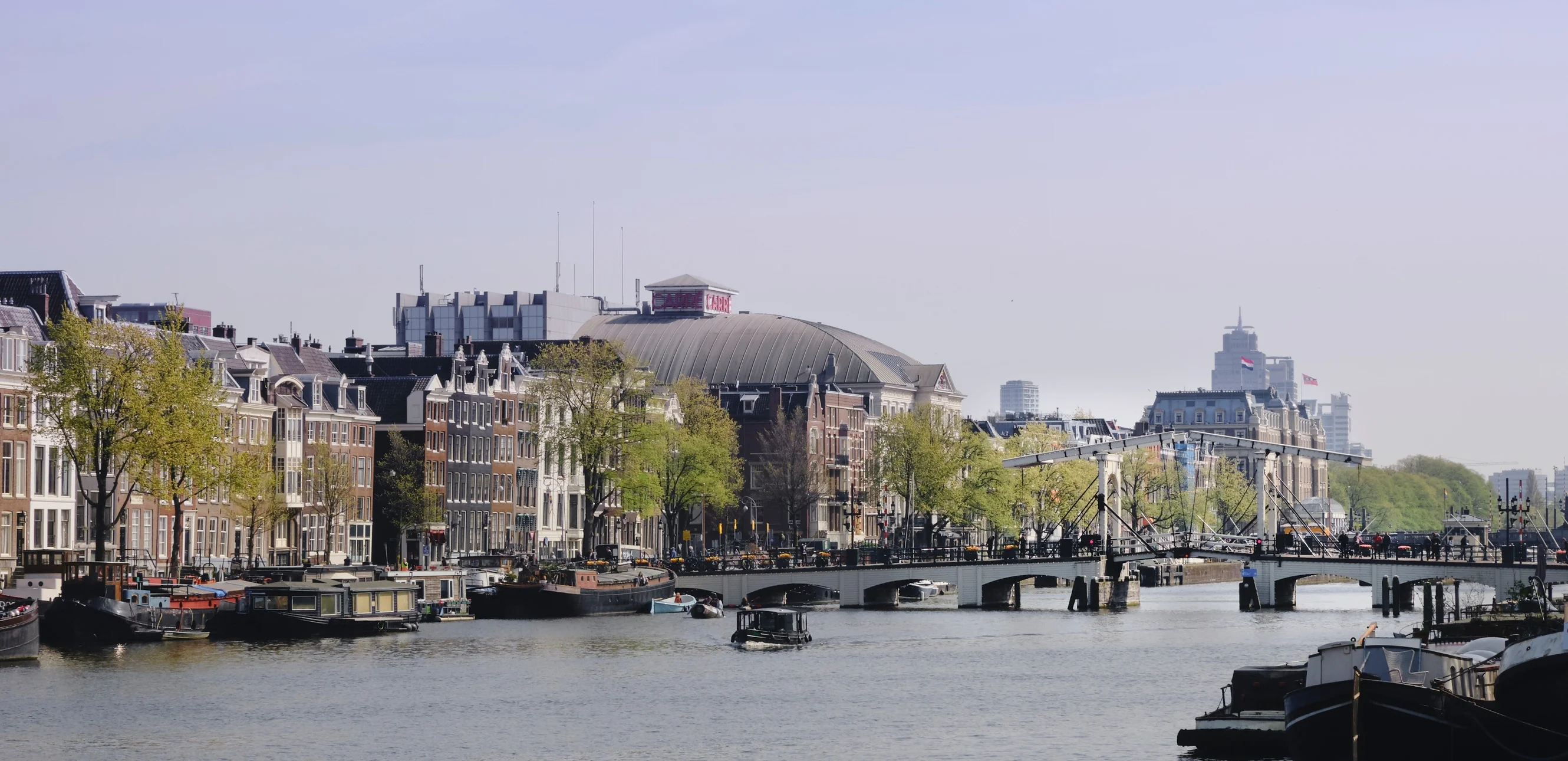 Deze lijstjes werden massaal gelezen in 2020