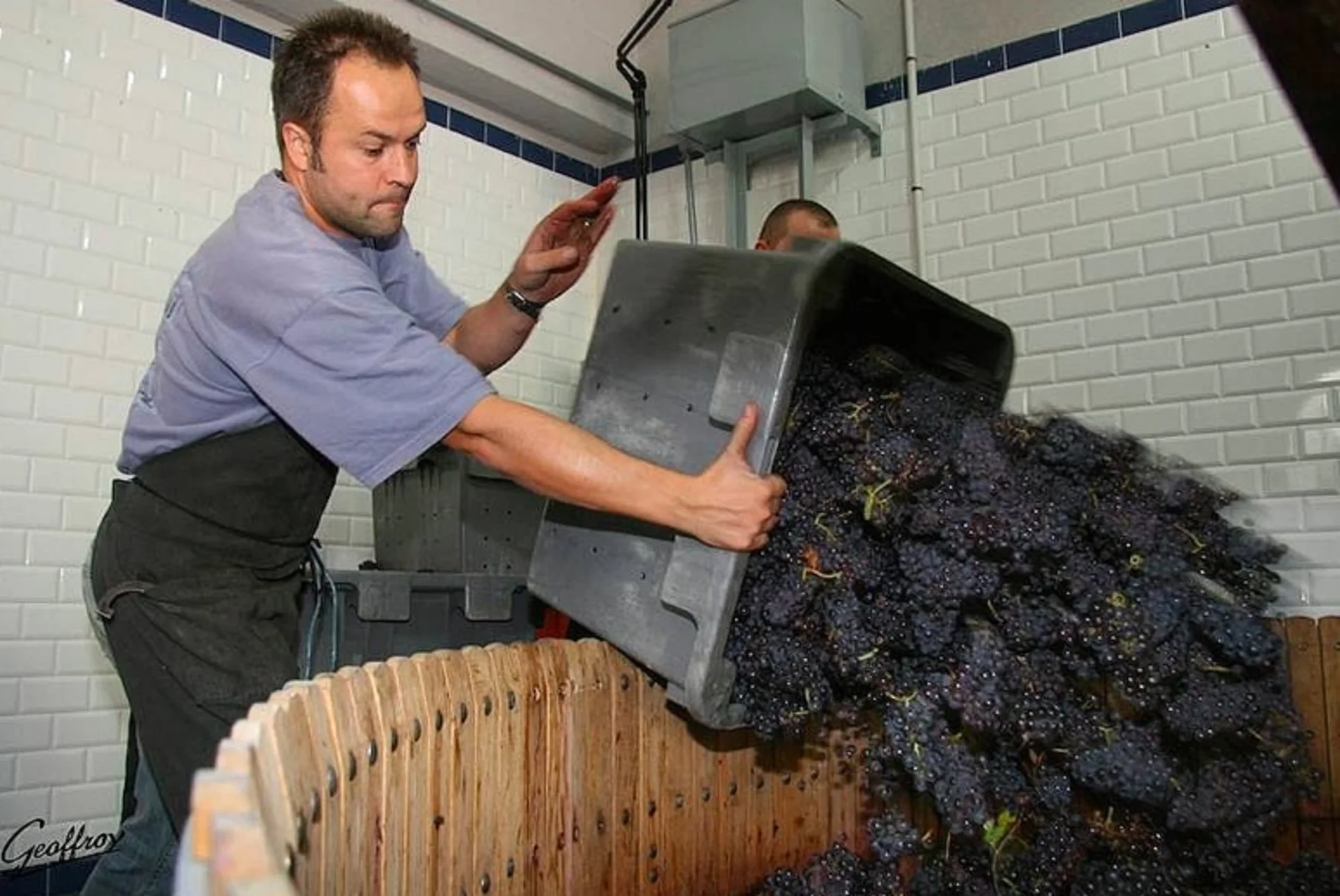 Knetterende champagnelunch van Geoffroy en Geurds
