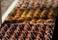 Bunbun - selectie aan buns - debuikvanamsterdam.jpg