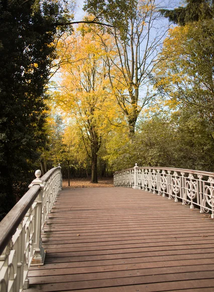 11x wandelen en heerlijk eten in Amsterdamse bossen & parken
