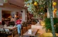 Interieur - Vegitalian - de Buik van Amsterdam