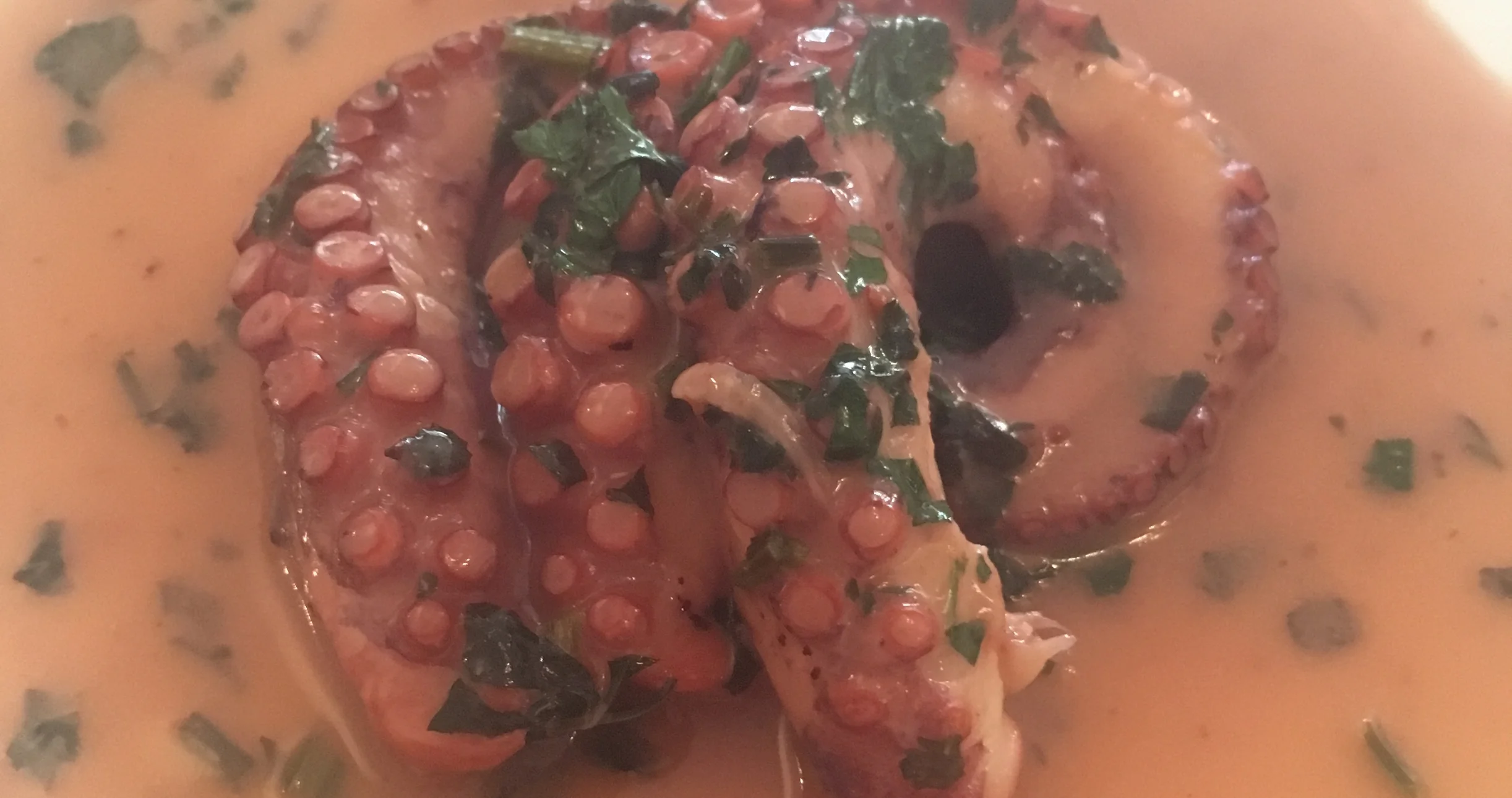 8x octopus peuzelen in Rotterdam