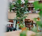 Noordertuin - interieur - de Buik van Utrecht.jpg