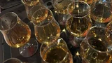 Ga op Whisky-smaakreis op de Koninklijke Spido
