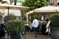 de buik - sardegna - amsterdam - terras.jpg