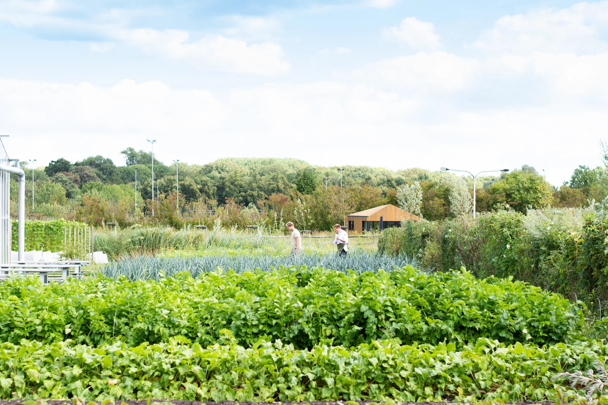 Uit ons magazine - editie 04: restaurants met eigen moestuin