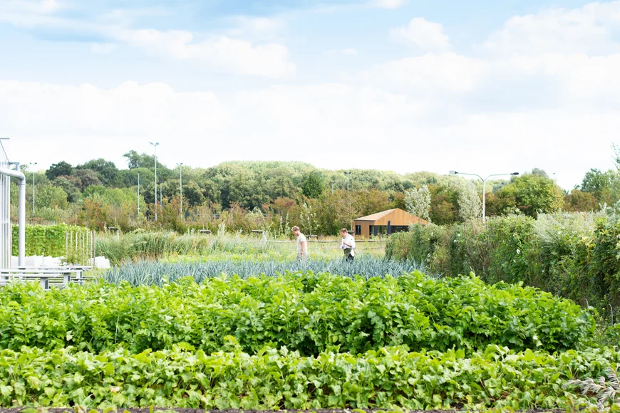 Uit ons magazine - editie 04: restaurants met eigen moestuin