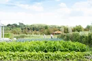 Uit ons magazine - editie 04: restaurants met eigen moestuin