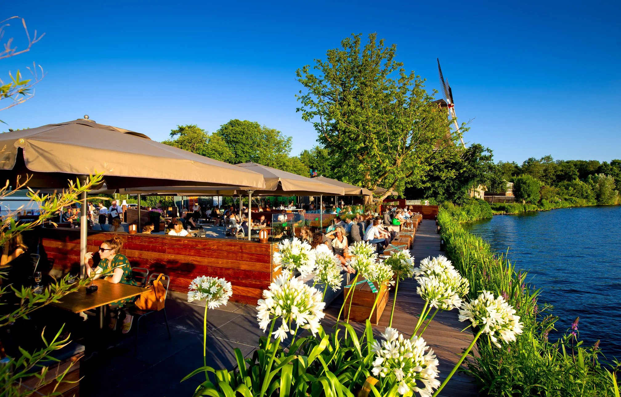 Zomerse zaken: de 7 zonnigste cafés midden in het park
