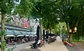 Café Steijn - terras Heemraadsingel - de Buik van Rotterdam.jpeg