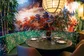 ChuanYue_Interieur_DeBuikRotterdam.jpeg