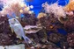 Lucius - aquarium - de Buik van Amsterdam .jpg