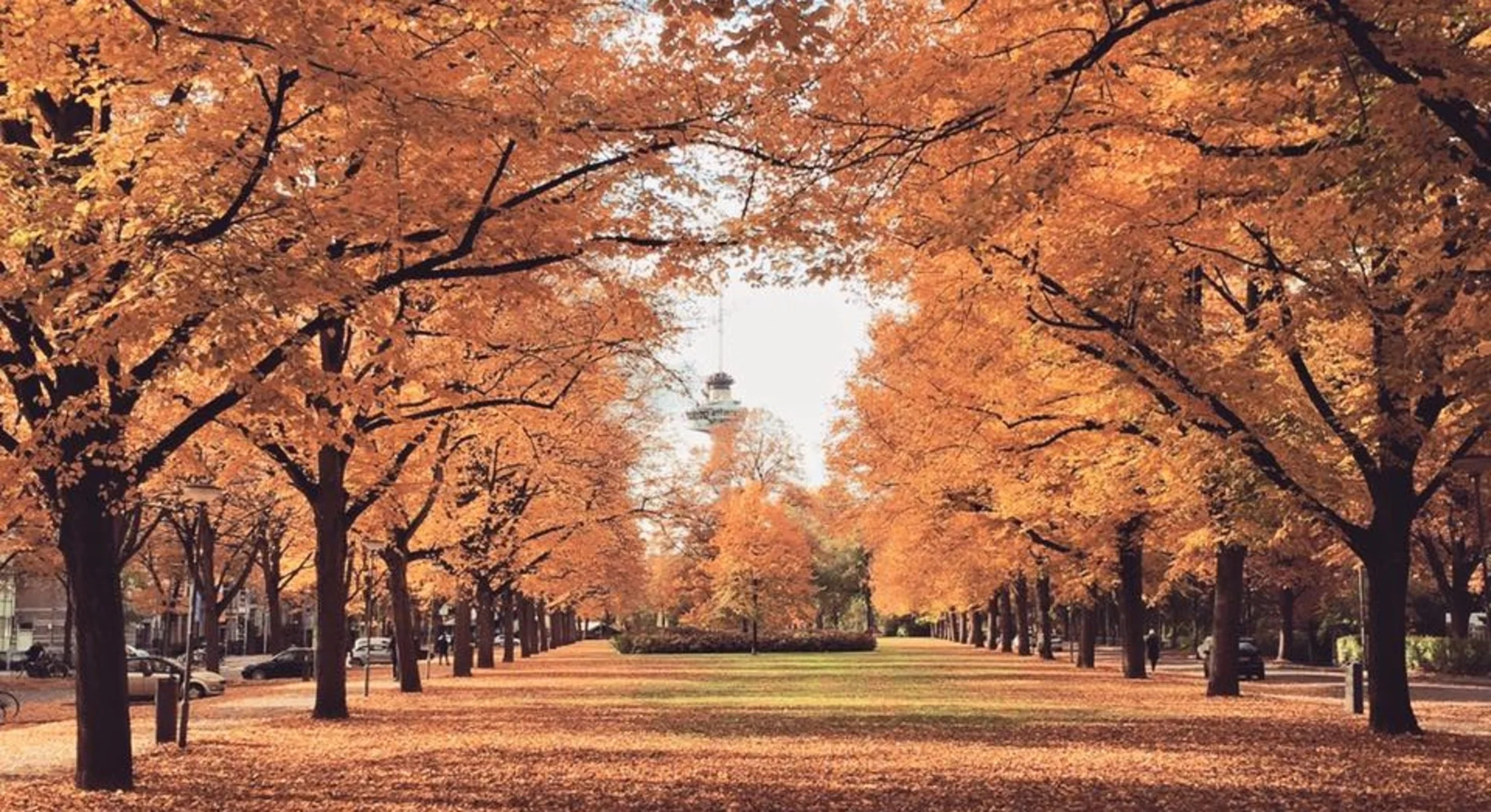 Hier in Rotterdam geniet je van de herfst