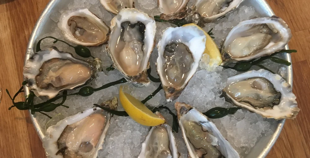 7x oesters slurpen in Rotterdam