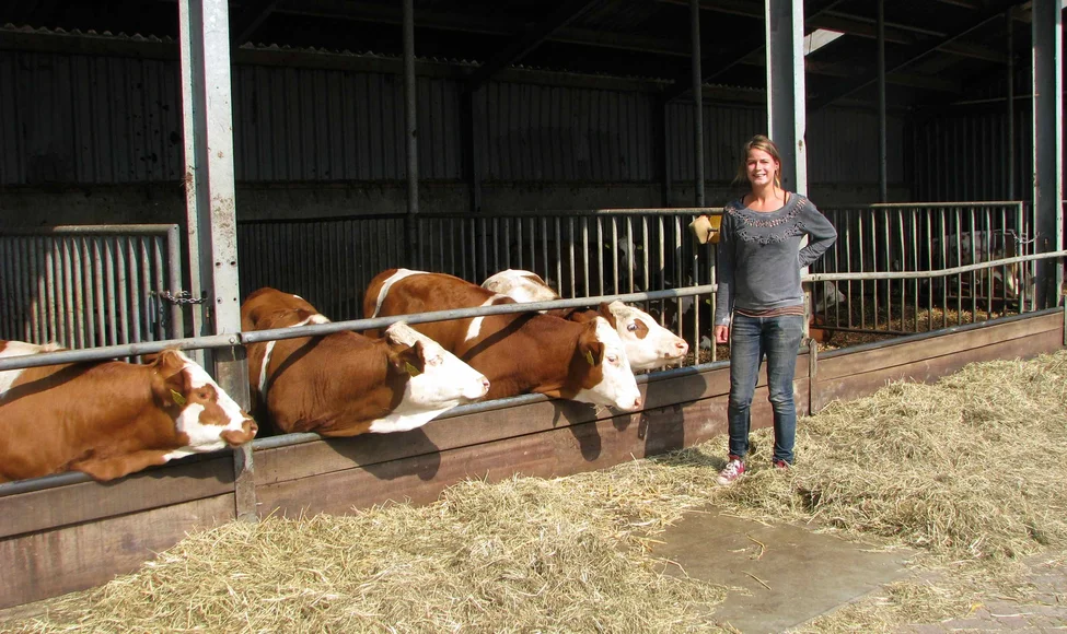 Rauwe melk haal je om de hoek, bij Hoeve Biesland