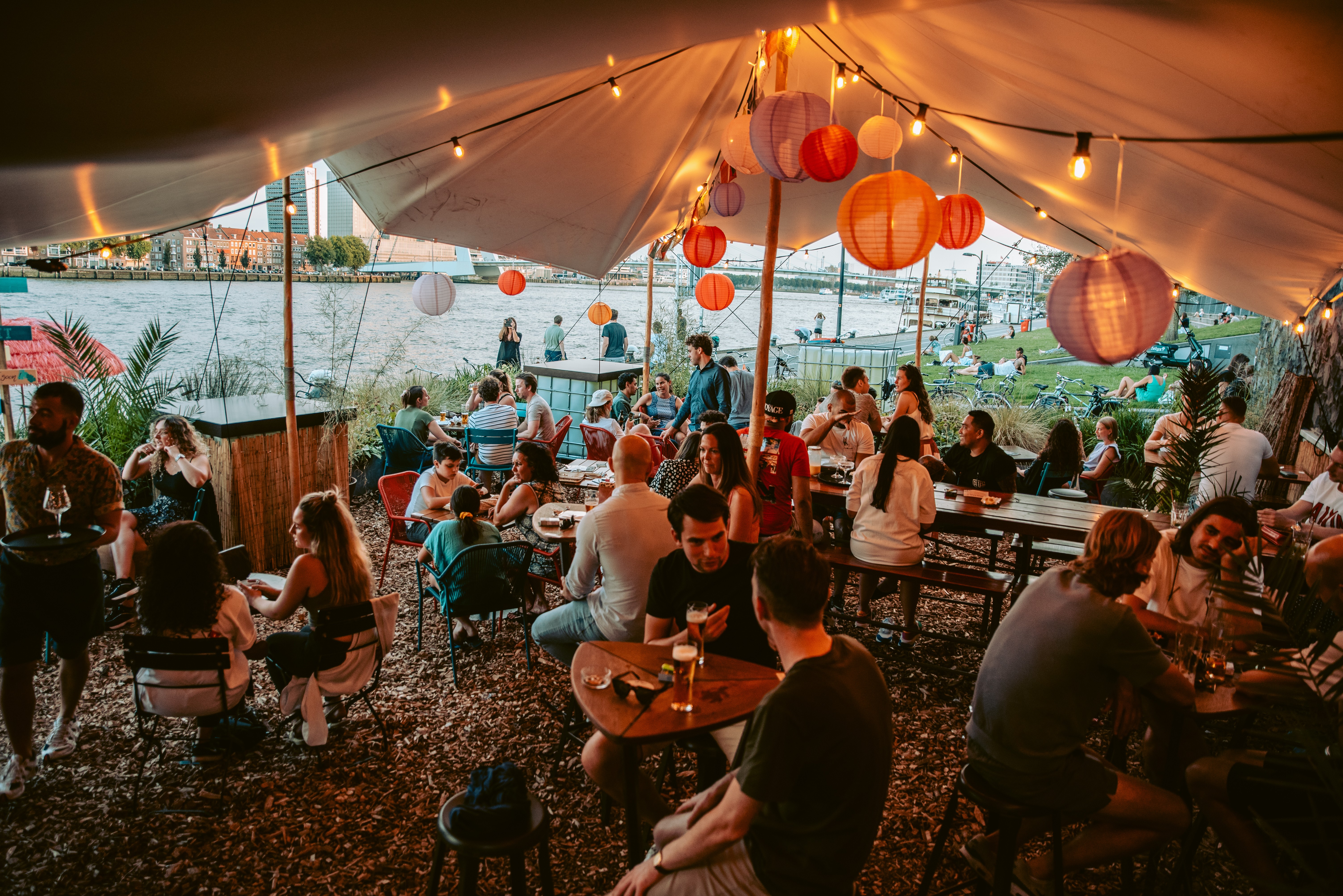De zomerse pop-up die je niet wil missen: Palmboompjes