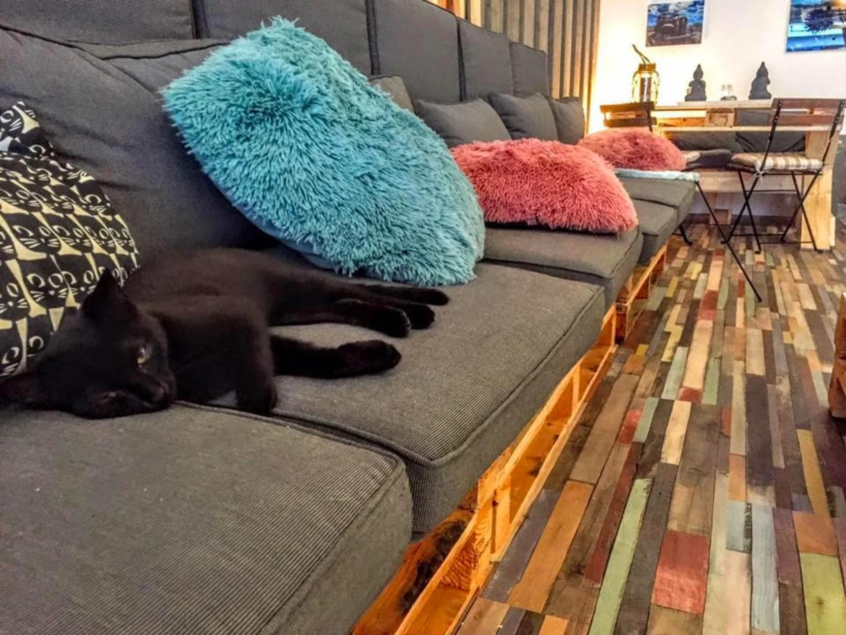 Pebbles Kitty Cat Café