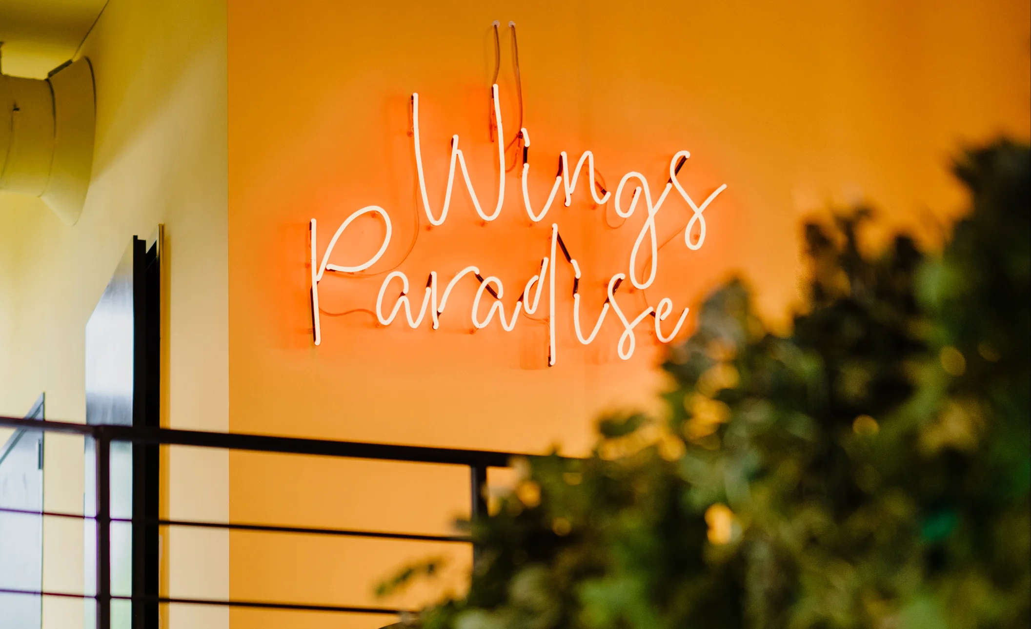 The Wings Paradise