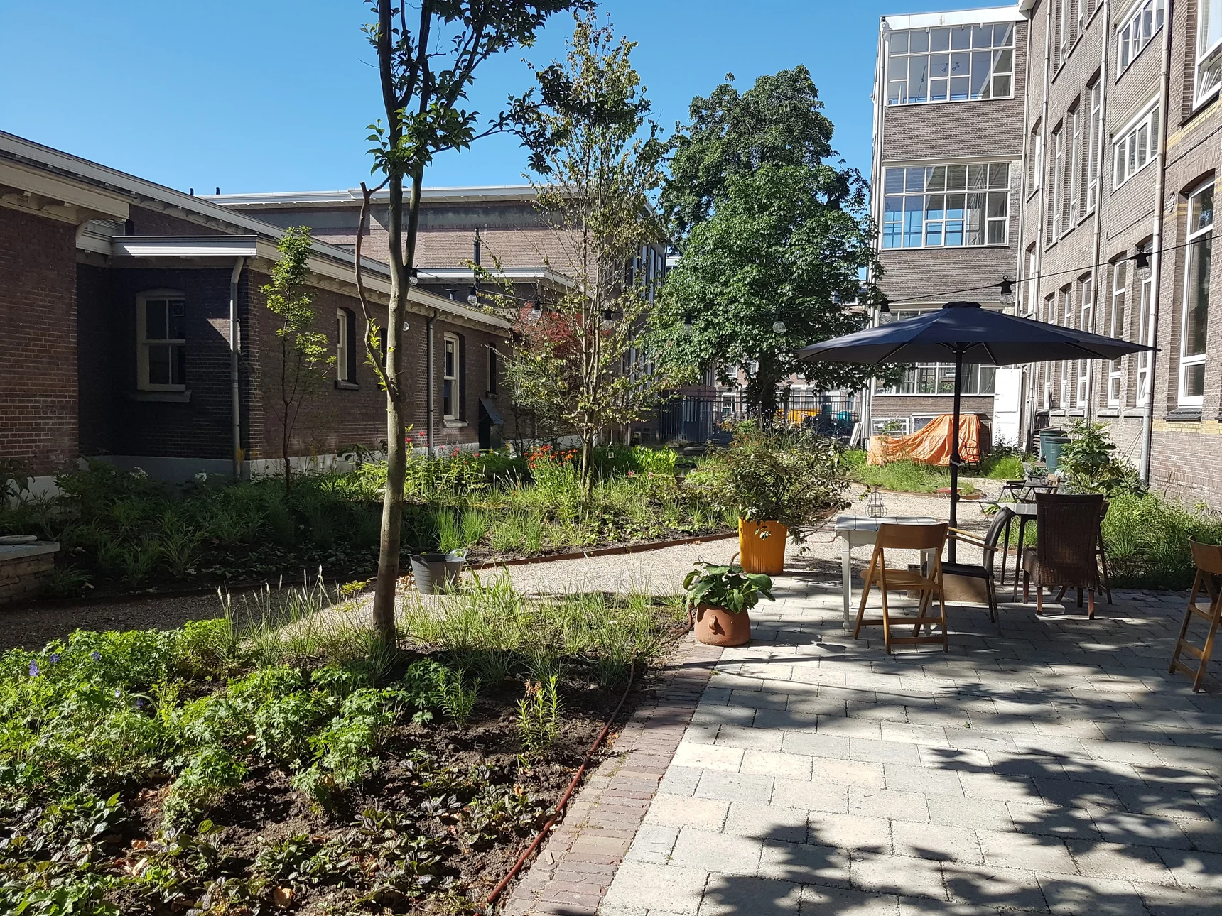 De Kok en de Tuinman