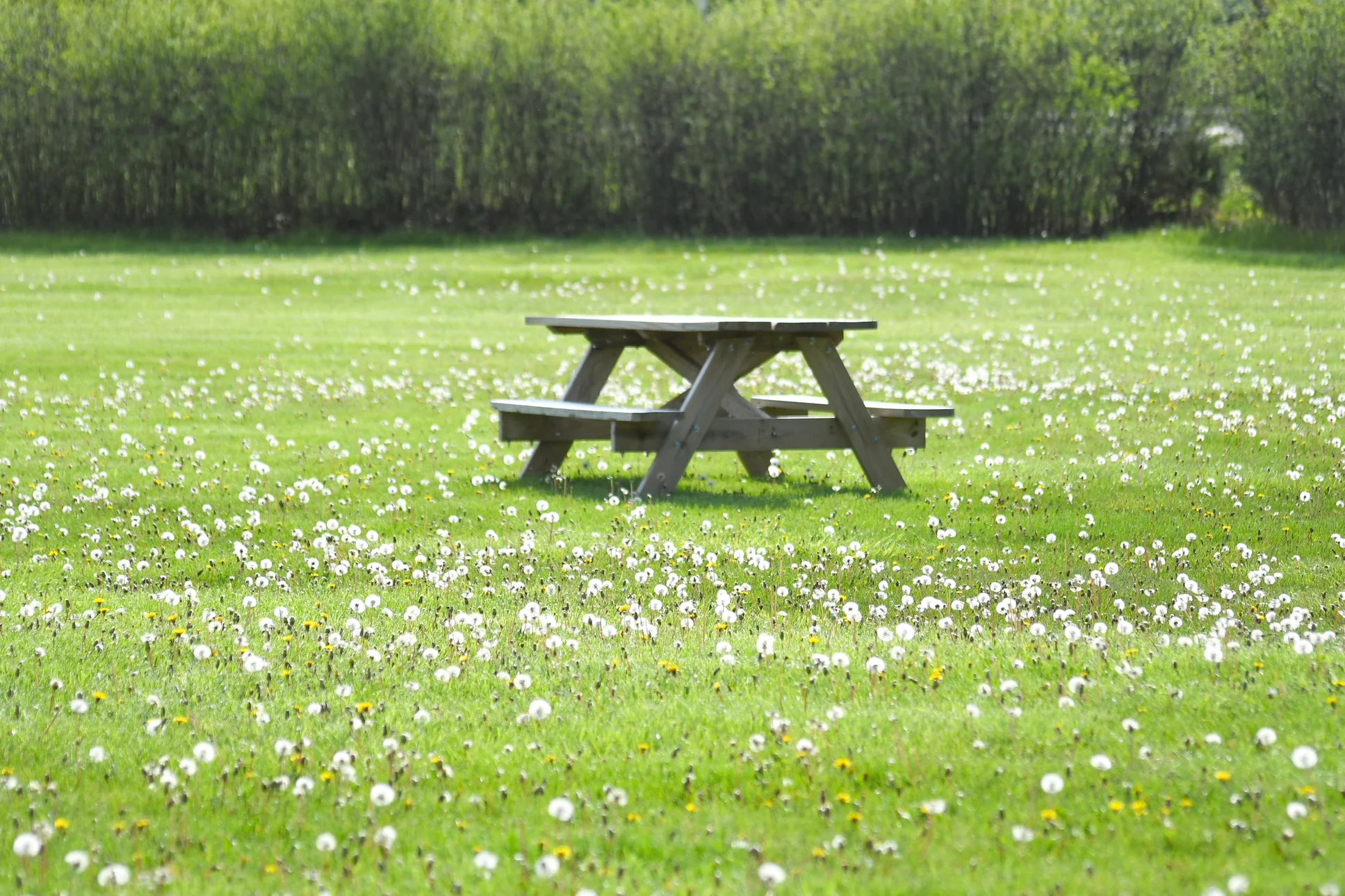 Ontsnap aan de drukke stad en haal wat lekkers tijdens een wandeling bij deze spots in de natuur