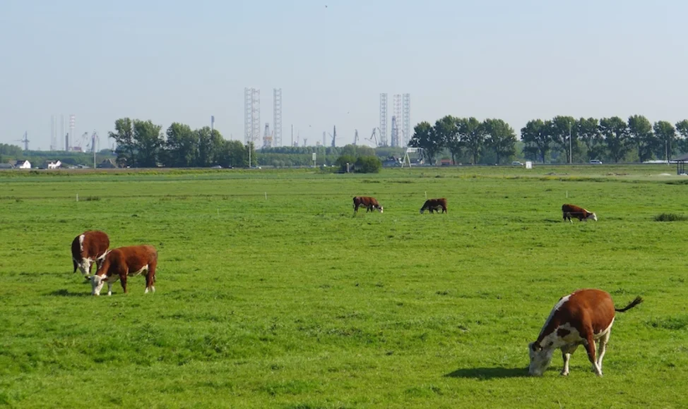 Vijf plekken waar je via De Buik kunt reserveren
