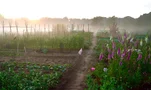 De Rotterdamse moestuinen: even voorstellen (afl. 1)