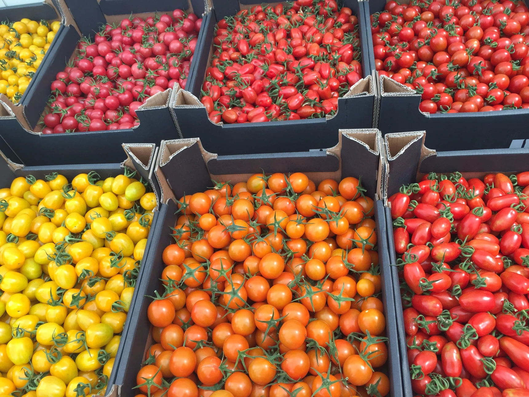 Westlandse cherrytomaten als bloemenvaas
