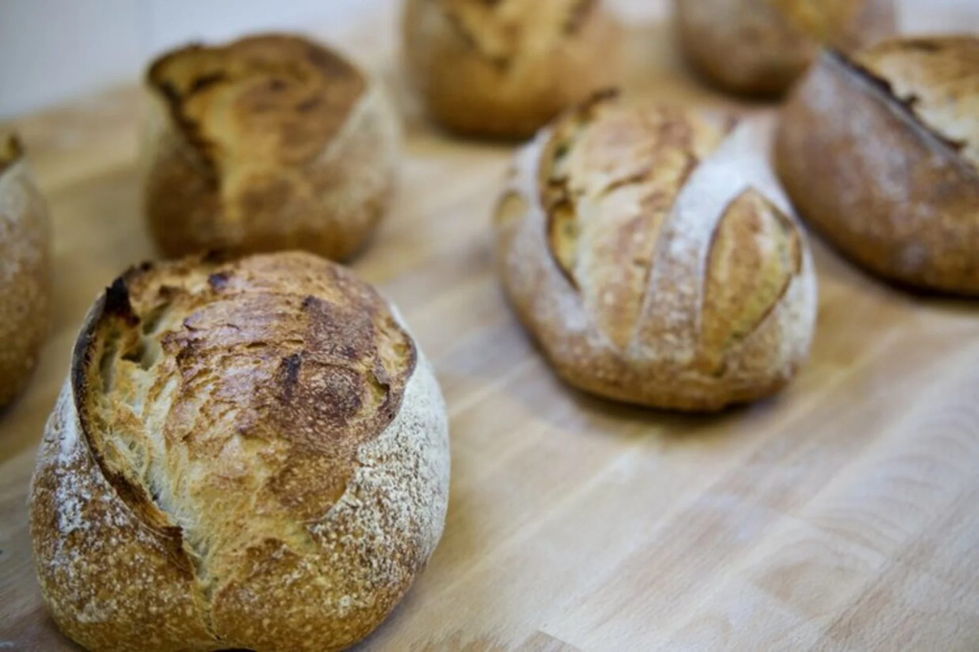 De beste bakkers en micro-bakkers in en rond Rotterdam